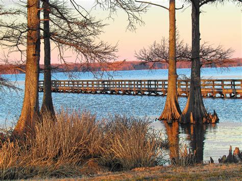 Reelfoot Lake - A Hidden Gem in Tennessee