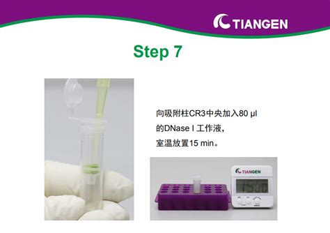 Rnaprep Pure 多糖多酚植物总 Rna 提取试剂盒操作指南（dp441） 丁香实验