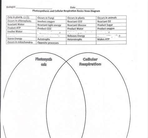 Help Photosynthesis And Cellular Respiration Basics Venn Diagram