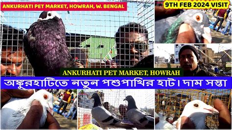 Ankurhati Pet Market Visit