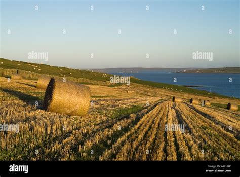 Dh Melsetter HOY ORKNEY Straw Bales And Newly Cut Stubble Field