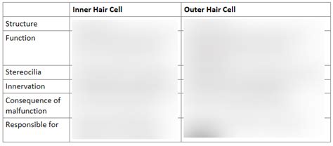 N6 Sound Transduction Central Auditory Pathways Diagram Quizlet