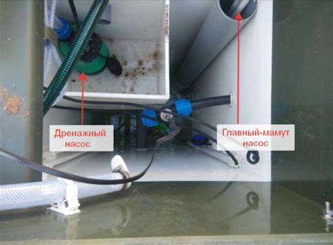 Замена насоса в септике Топас (дренажный или главный-мамут насос)