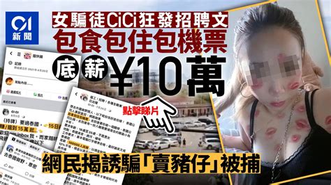 詐騙營｜女騙徒cici狂發招聘文 底薪10萬人仔誘騙「賣豬仔」被捕