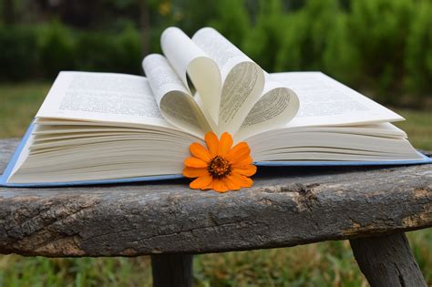 Красивые Картинки Про Книги – Telegraph