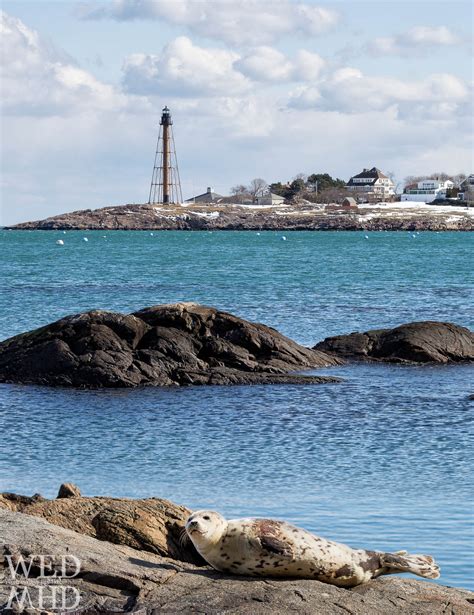 Seal Beach, Marblehead - Marblehead, MA