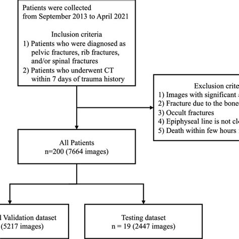 Flow Chart Showing The Overall Study Process Ct Computed Tomography