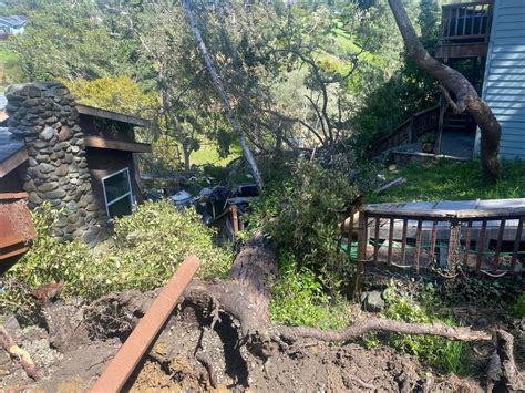 Winds Topple Trees In SLO County As NWS Issues Alert San Luis Obispo