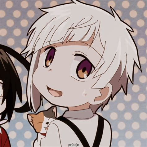 𝘤𝘩𝘪𝘣𝘪 𝙖𝙩𝙨𝙪𝙨𝙝𝙞 Bungo Stray Dogs Bungou Stray Dogs Anime