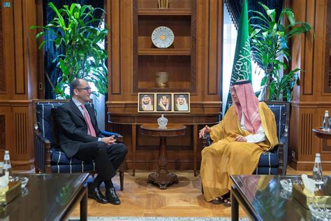 Minister Of State For Foreign Affairs Receives Austrian Ambassador To