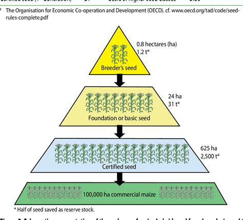 Pdf Maize Hybrid Seed Production Manual Semantic Scholar