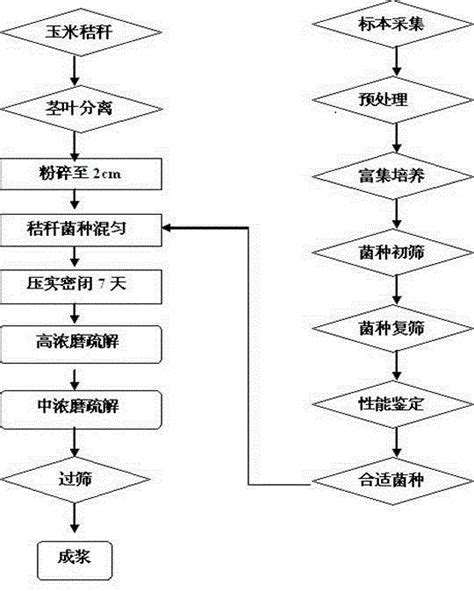 一种无污染高得浆率纸张挺度高的秸秆生物制浆方法与流程