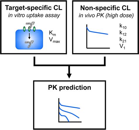 Schematic Chart For Predicting Nonlinear Pk Using In Vivo And In Vitro