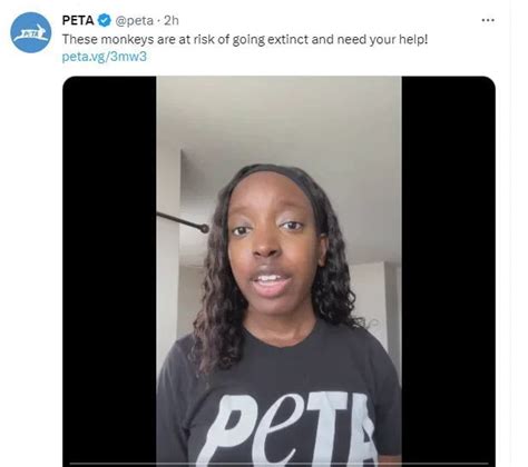 Peta Has No Chill 9GAG