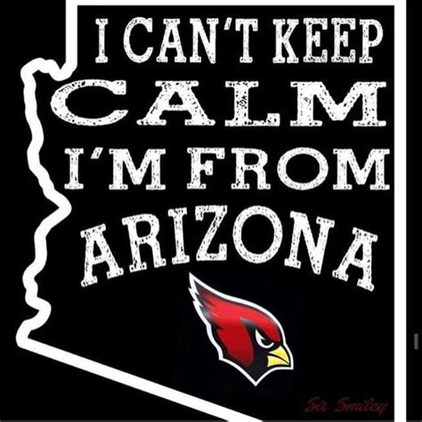 Arizona Cardinals Super Fans @arizonaladybirds #BirdGang #RedSea | Arizona cardinals football ...