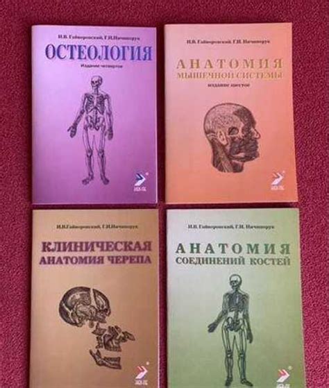 Методички По Анатомии Гайворонский | Festima.Ru - Мониторинг объявлений