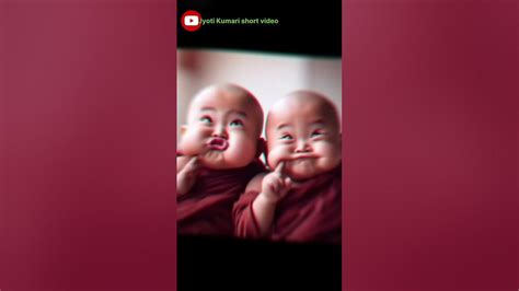 Little Monk So Cute ☘️🌿💐💐🍁🌿☘️☘️🍂💕🍀🍀 Shortvideo Trending Funny