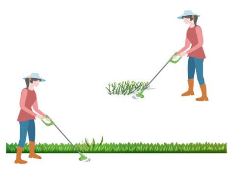 Woman Mowing Lawn Illustrations Royalty Free Vector Graphics And Clip Art Istock