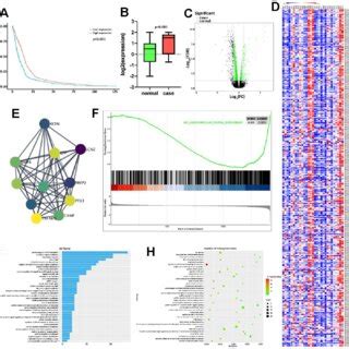 Bioinformatics Analysis Indicated The Potential Association Between