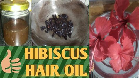 How To Make Hibiscus Hair Oil Youtube