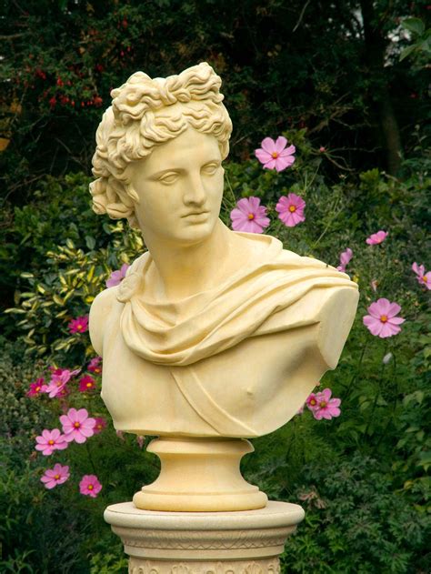 Apollo Belvedere Bust Haddonstone