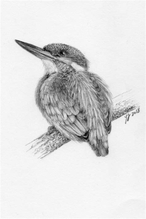 Kingfisher - a drawing by YY (2018) Graphite pencil on paper, A5 | Bird ...