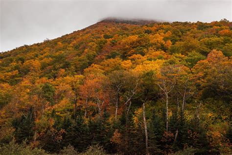 New Hampshire Fall Foliage Guide: 8 Beautiful Spots to View New