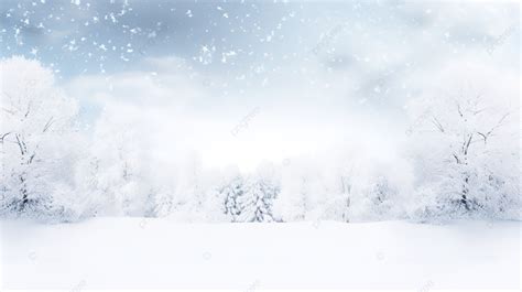 Winter Wonderland A White Snowy Background With Texture, Frosty, Icy ...