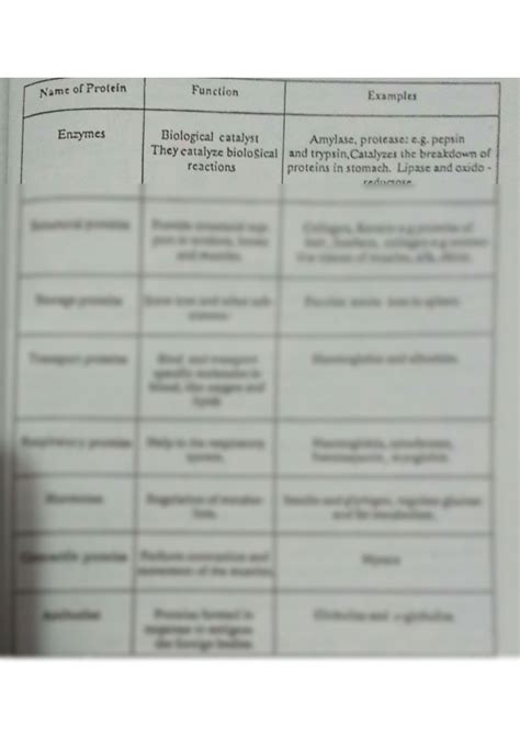 SOLUTION: Biology types of proteins - Studypool