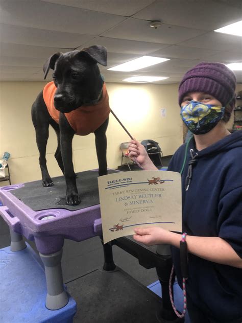 64 best Canine Good Citizen images on Pholder | Pitbulls, Aww and
