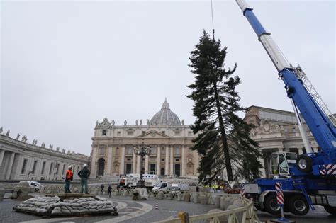 Risolto Il Pasticcio Dell Albero Di Natale Donato Dall Abruzzo