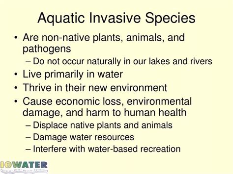 PPT - Aquatic Invasive Species PowerPoint Presentation, free download ...