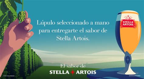 Stella Artois Es Una Fascinante Exploración De Sabor México A La Carta