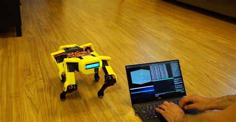 The 10 Best Raspberry Pi Robotics Projects