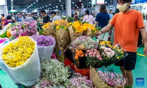 Kunming Dounan Flower Market In Sw China Global Times