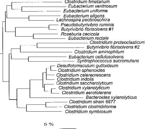 Figure 3 From Phylogenetic Basis For A Taxonomic Dissection Of The