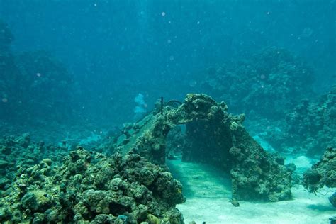 Guide De La Plong E En Guadeloupe