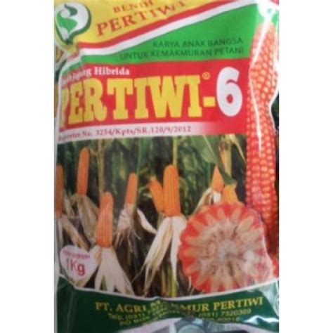 Jual Benih Jagung Hibrida Pertiwi 6