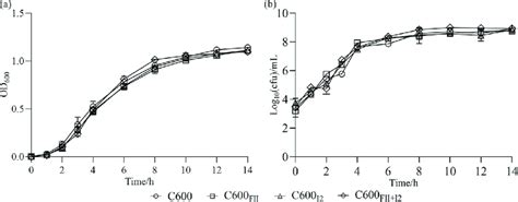 Growth Curves Of E Coli C600 And Its Isogenic Derivatives A Od 600