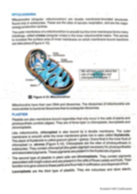 Solution Cell Organelles Part 1 Nucleus Ribosomes Mitochondria