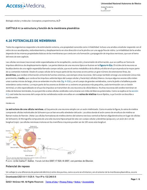 Membrana De Karp Biolog A Celular Y Molecular Conceptos Y