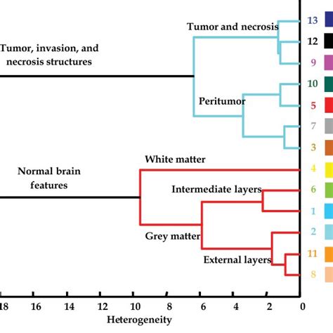 Dendrogram Obtained From Hierarchical Cluster Analysis On Spectral