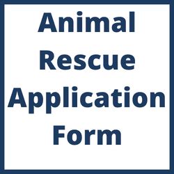 Volunteer at the Animal Shelter | Plainview, TX - Official Website