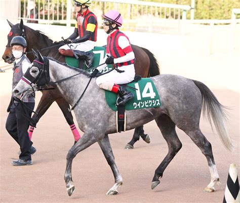 【中山牝馬s】ウインピクシスは先行策も8着に終わる 松岡正海騎手「一完歩目でリズムを崩した」 Umatoku 馬トク