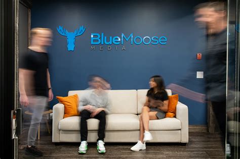 Get Funded For Our Digital Marketing Certification Blue Moose Media