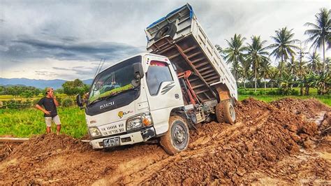 Truk Jomplang Dump Truk Isuzu Bongkar Muatan Tanah Timbunan Full Bak