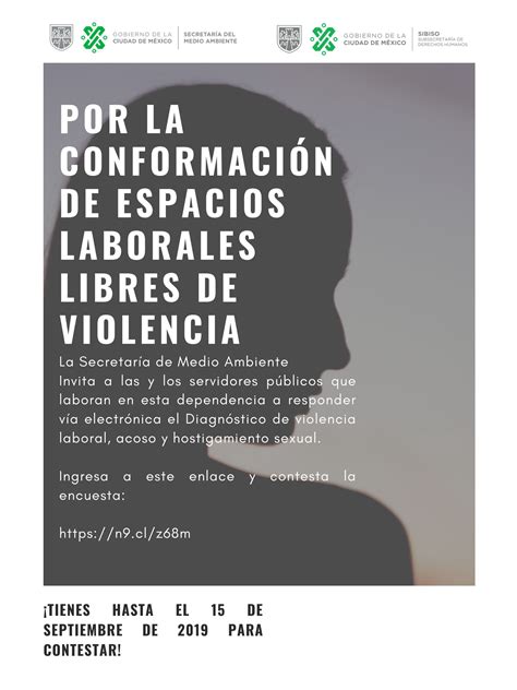 Encuesta de Diagnóstico de violencia laboral acoso y hostigamiento sexual