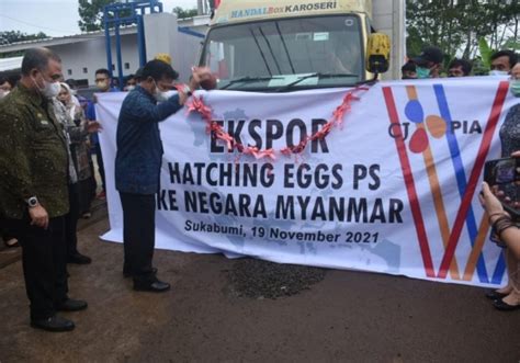 Mentan Syl Lepas Ekspor Telur Tetas Ke Myanmar Direktorat Jenderal