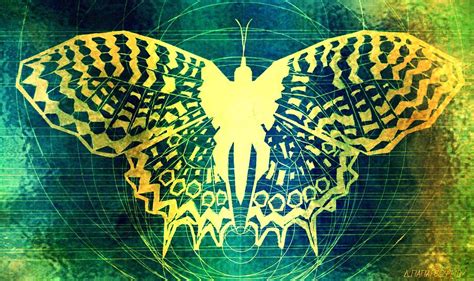 Butterfly Symmetry 4 Digital Art By Dimitra Papageorgiou Fine Art America