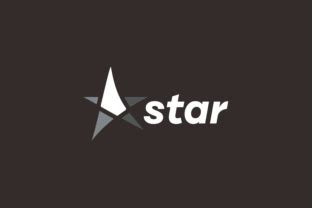 Simple Star Logo Design Vector Graphic By Bayu PJ Creative Fabrica